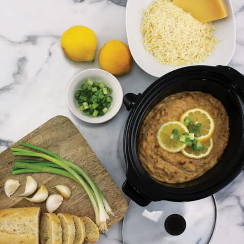 stainless steel slow cooker