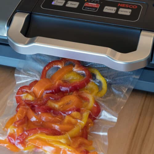 vacuum sealer