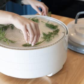 dehydrating
