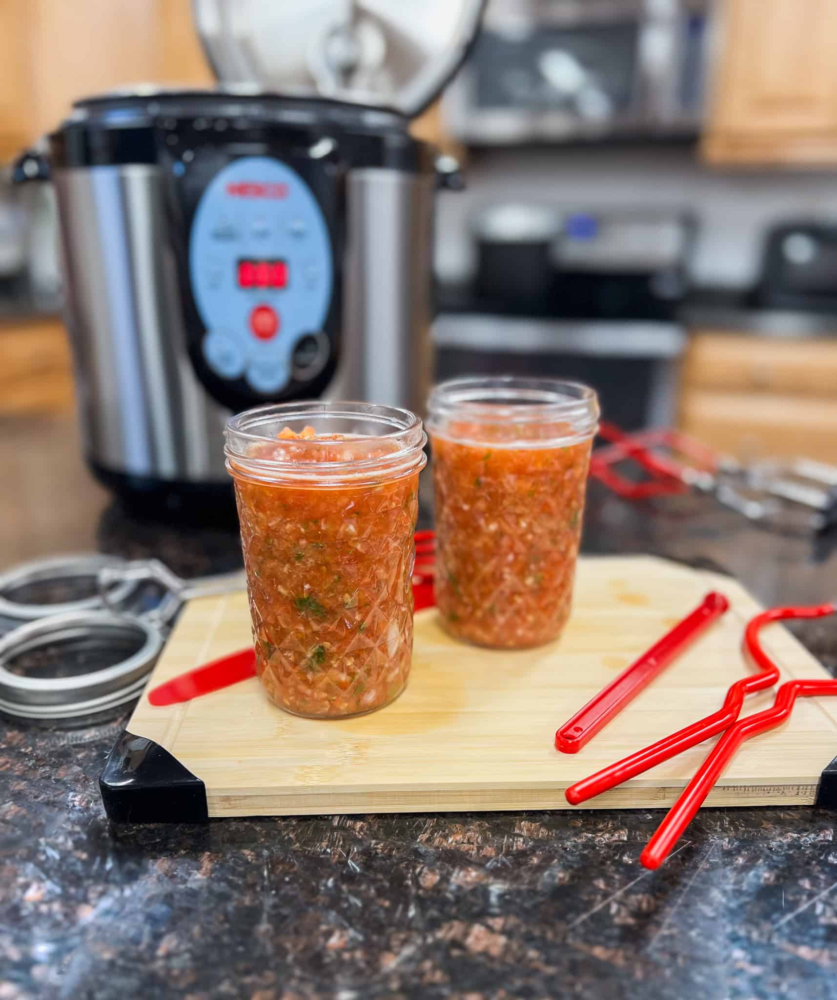 Read more about the article Canned Homemade Salsa